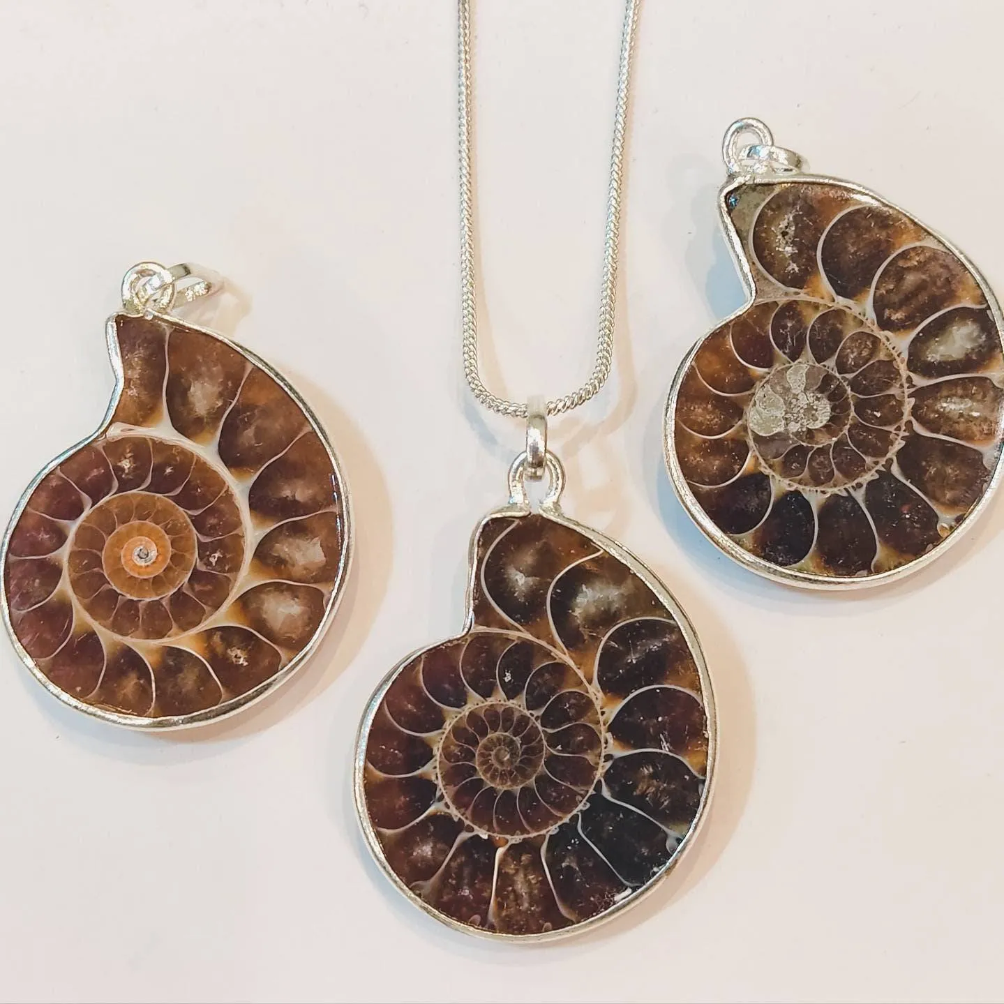 Fossilized Ammonite Spiral Silver Pendant Necklace