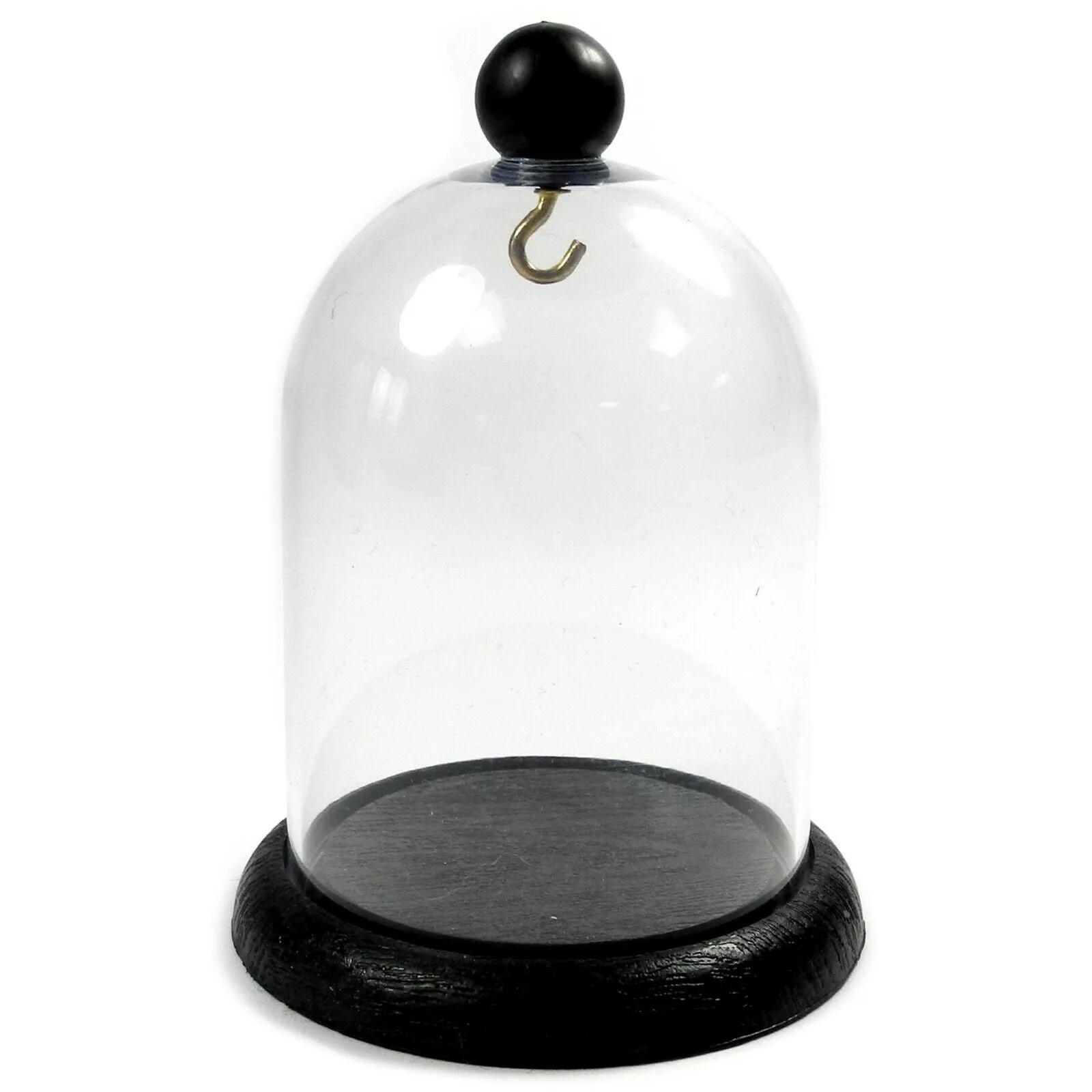 Pocket Watch Display Dome Height 120mm x 90mm (4.72" x 3.54")